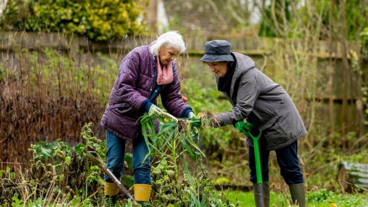 10 Elements Essential to Senior Wellness